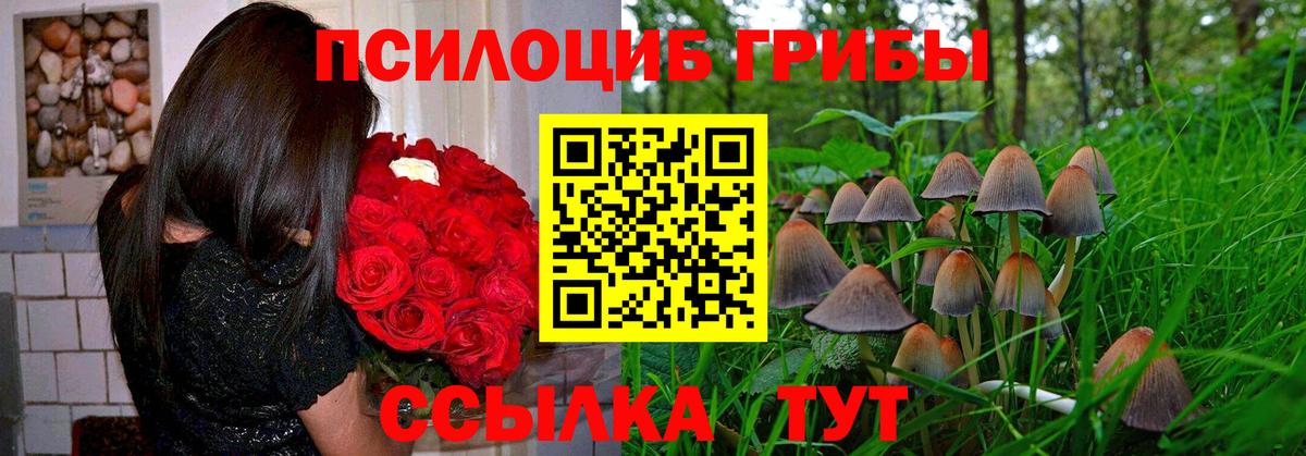 купить наркоту  Галлюциногенные грибы MAGIC MUSHROOMS  Вход с VPN  Чебаркуль 